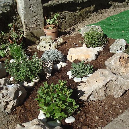 Green Bed Bergamo Guest House & Residence Exterior foto