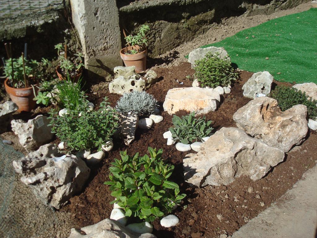 Green Bed Bergamo Guest House & Residence Exterior foto